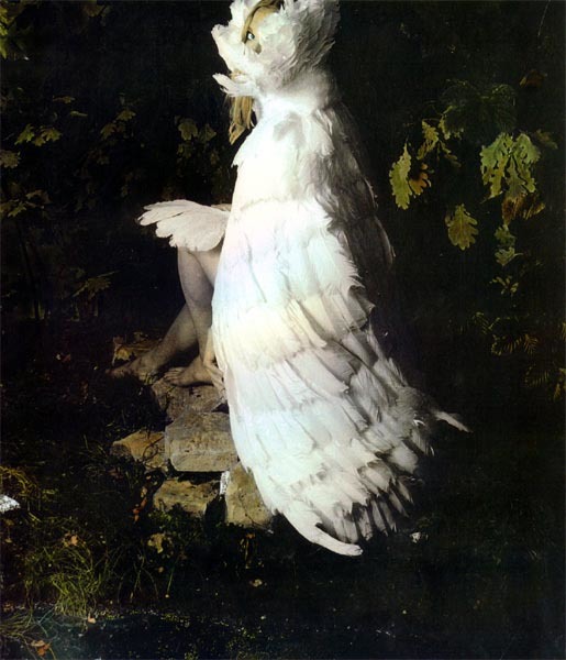 "The Swan Maiden," Courtesy of Caroline Blackburn